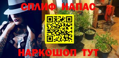 амф Севастополь